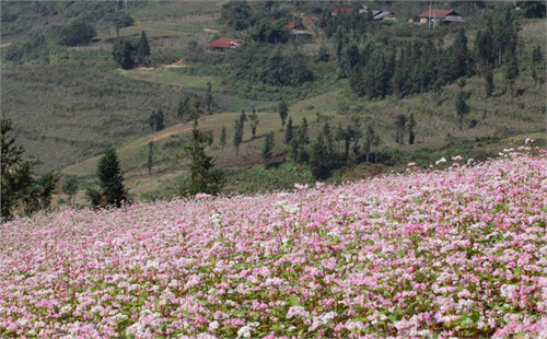 Hà Giang 3 ngày 2 đêm