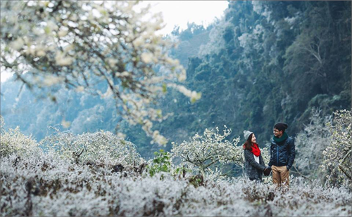 KHÁM PHÁ CAO NGUYÊN MỘC CHÂU - HAPPY LAND