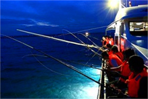 SQUID FISHING TOUR AT NIGHT