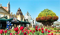 JEJU – SEOUL – EVERLAND – NAMI