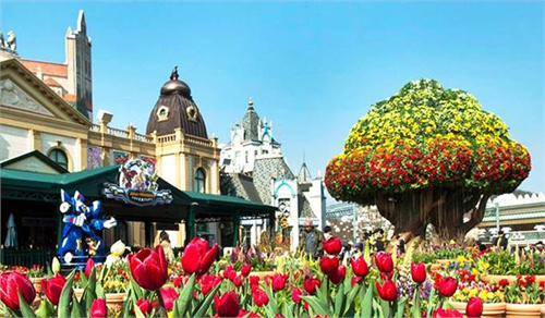 JEJU – SEOUL – EVERLAND – NAMI