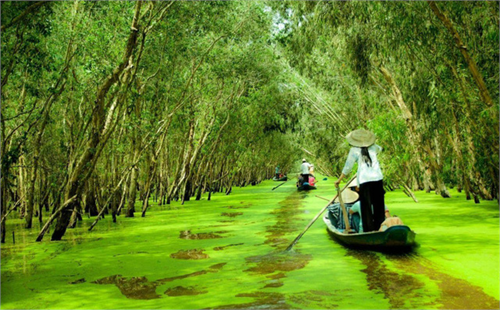 Tour Khám phá Miền Tây sông nước